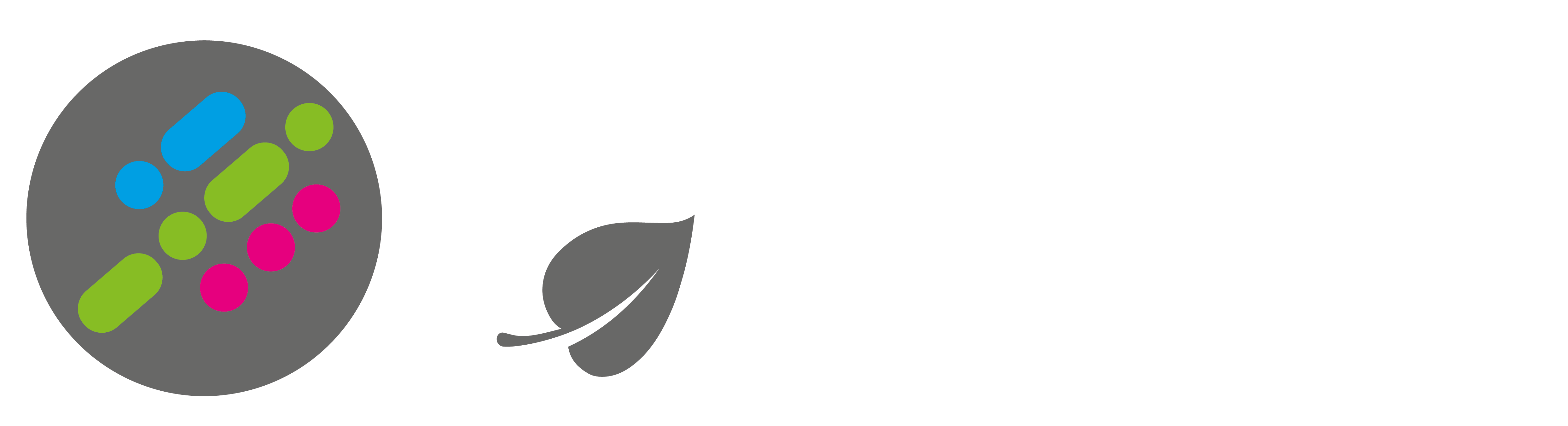 About Acument Concept Service Logo
